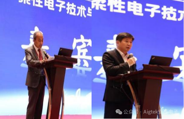 柔性電子技術(shù)與應用創(chuàng  )新論壇