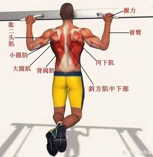 PP電子芯片集團，物聯(lián)網(wǎng)關(guān)主機是什么樣子的
